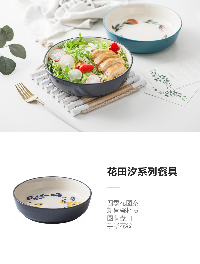 Japanese creative dishes home western - style food plate ceramic deep dish soup plate Nordic contracted salad plates breakfast dish