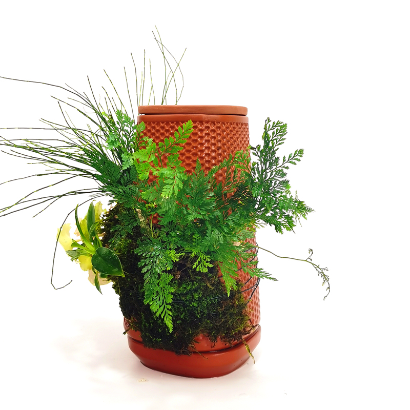 Terraplanter Automatic Watering Pot Lazy Flower Pot Trendy Moss-Attached Cat Grass Ceramic Column Pot Terraplanter