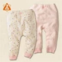 Cây con cáo sản phẩm / Rixi nhà / quần cotton lớp quần lót mỏng / ấm ấm 90-130 bộ cotton cho bé
