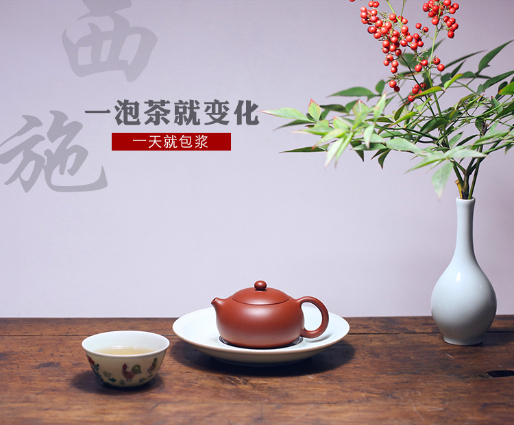祥讯 纯手工制 宜兴紫砂壶 250ml 图3