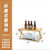 2 Layer 50 полная плата (классическая модель)