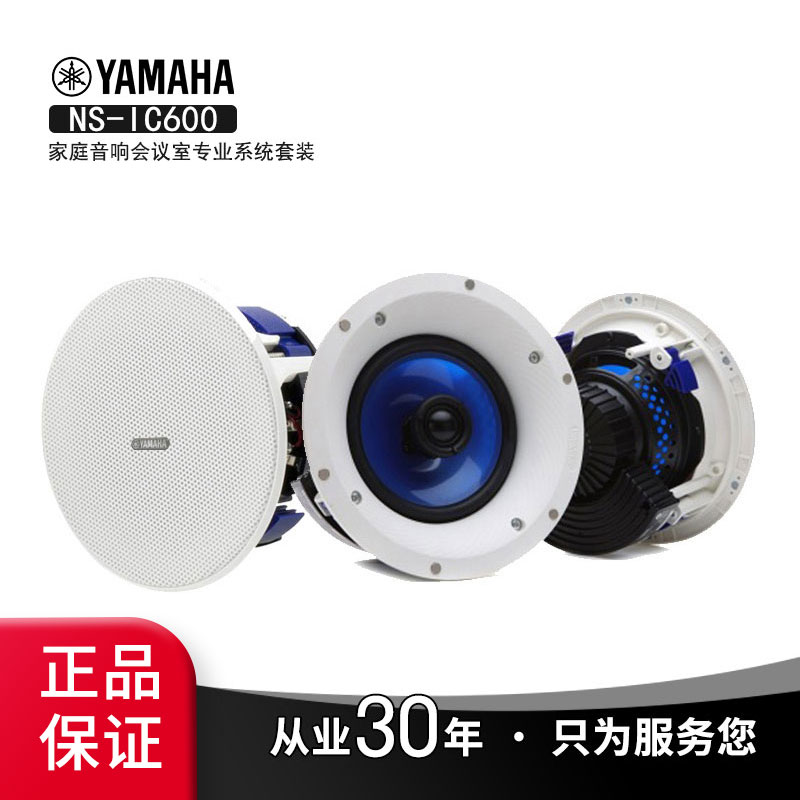 Yamaha Yamaha NS-IC600 top speaker home audio conference room Professional System set speaker
