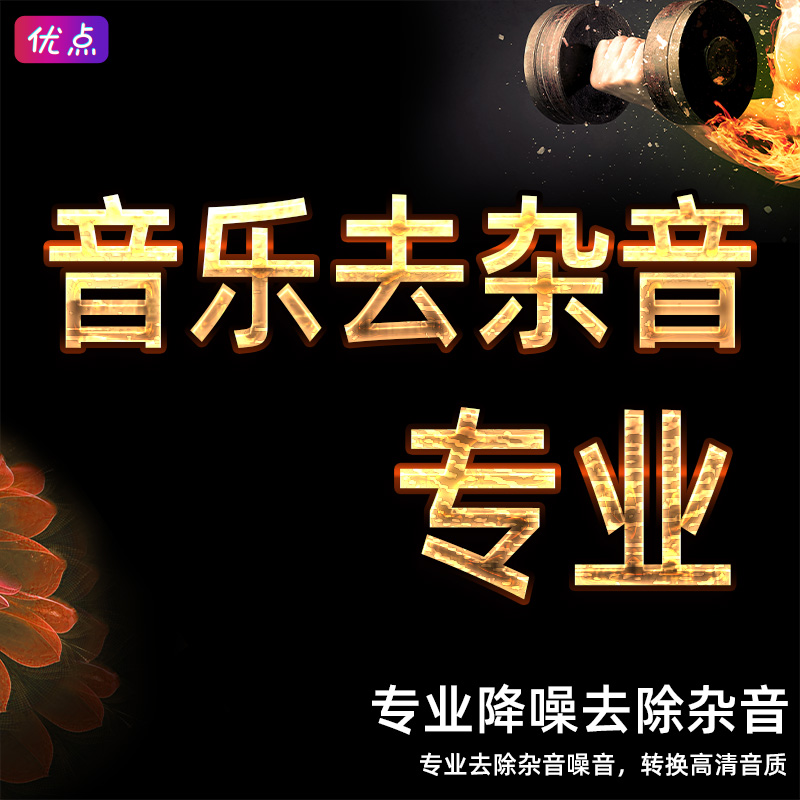 Music noise reduction to remove noise recording video to eliminate noise noise audio to improve sound quality HD MP3 professional
