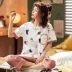Bộ đồ ngủ nữ mùa hè mỏng phần cotton tay ngắn cắt cúp phiên bản Hàn Quốc của dịch vụ nhà dễ thương dành cho nữ sinh viên mùa hè - Bên ngoài ăn mặc