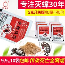 Dachao anti-cockroach medicine powdered bait Household whole nest end to get rid of cockroaches Stick to kill cockroaches glue bait to kill cockroaches clear