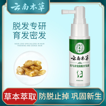 Hairline hair growth liquid forehead rapid anti-removal hair increase male and female Polygonum multiflorum thick hair development liquid