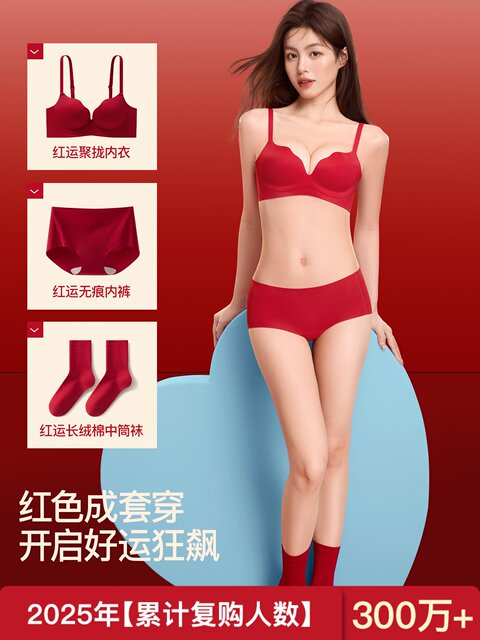 Secretworld Red Lingerie for Women with Small Busts, Push-Up, Side Support, Wedding, Zodiac Year Bra and Panty Set