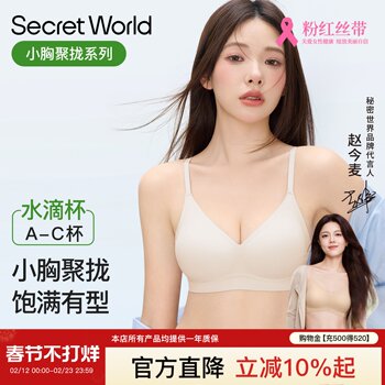 Secretworld Lingerie for Women with Small Busts, Push-Up Bra Without Underwire, Side Breast Support, Seamless, Beautiful Back, 2025 New Model