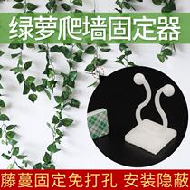 Order business Vine green plant wall paste indoor beautification self-adhesive hook Green rose Wall holder no trace climbing