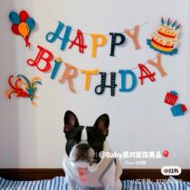  Color fireworks Happy birthday letter pull flower explosion gift box Birthday cake Pet decoration decoration party pull flag