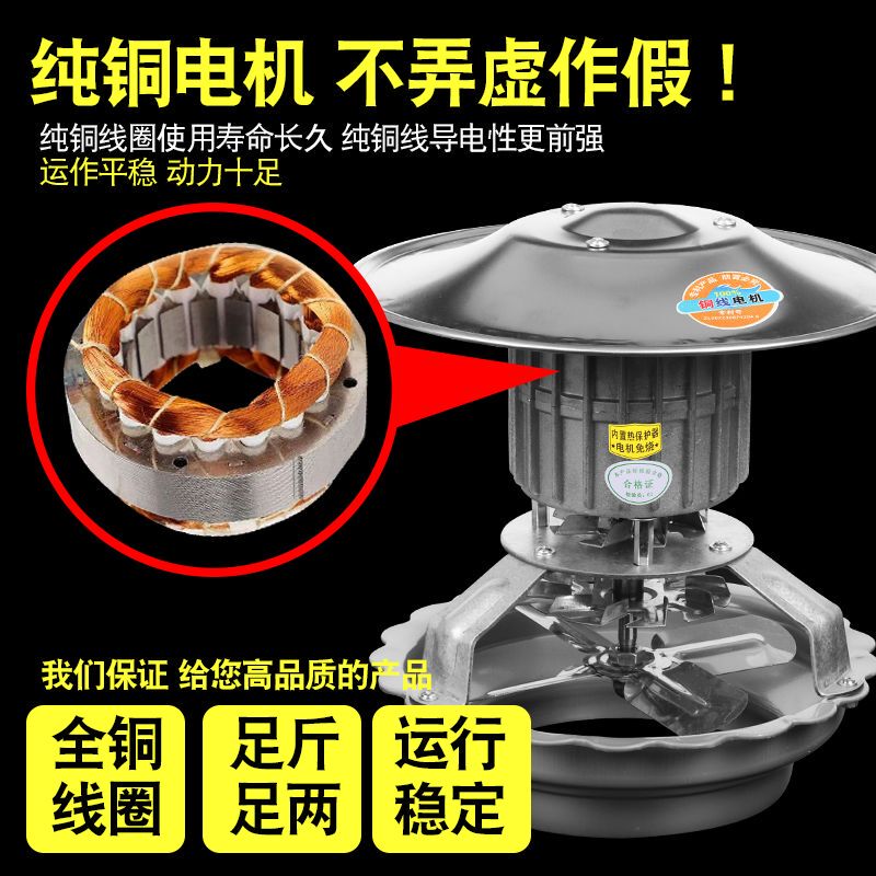 Intelligent Capacitor Anti-Freeze Chimney Flue Fan for Home Use, Made of Pure Copper, High-Power Smoke Extractor, High-Temperature Resistant