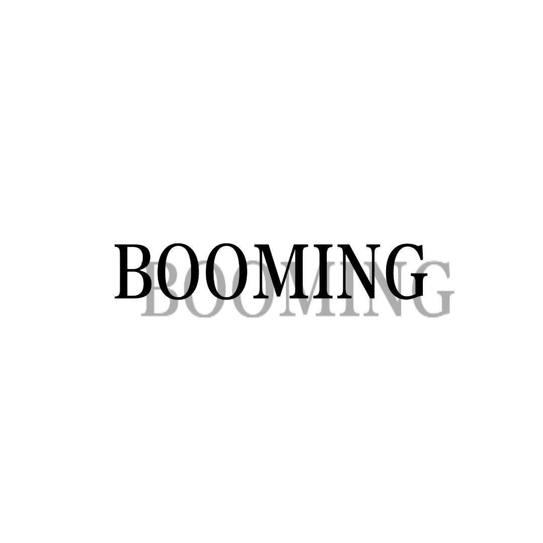 BOOMING车品