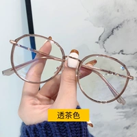 Camellia (отправить 1,56 анти -бегловые светильзы) без комментариев без сообщения по умолчанию 0 градусов