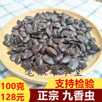 Nine incense worms authentic wild raw black pocket worms spanking melon black stink bug Chinese medicinal materials big nine incense worms 100g can