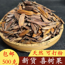 Chinese herbal medicine camptotheca fruit 500g g Qianzhangshu water chestnut Tianjiashu non-yuexi tree fruit powder