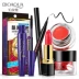 泉 雅 套装 cushion son môi son môi quyến rũ mascara mascara chống thấm nước dưỡng ẩm lâu dài cho nữ son màu cam gạch Bộ trang điểm