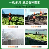 Micro -Spray может быть вставлен в каплю с брызги, аэрозольная головка 8 -яма капельно -пропитанная фруктовый садовый аэрозоль