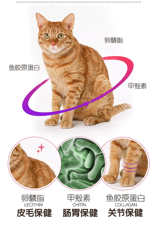 Bộ sưu tập cá Huanhuzi thành thức ăn cho mèo hương vị tươi gói 100gx2 cá hồi biển sâu thức ăn cho cá - Cat Staples