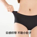 有棵树 Хлопковые длинные антибактериальные трусы, шорты, высокая талия