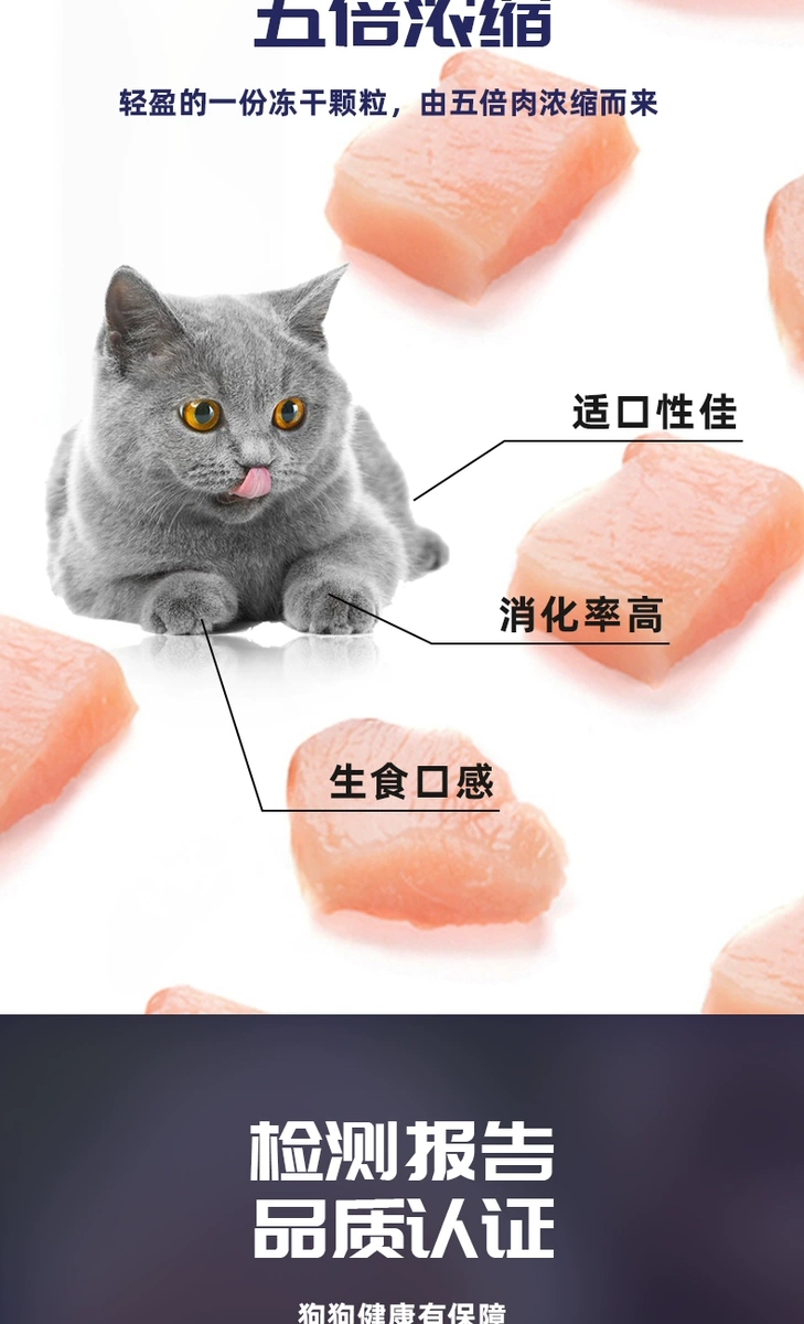 喵梵思小灶猫饭：小鸟胃也能享用的营养盛宴