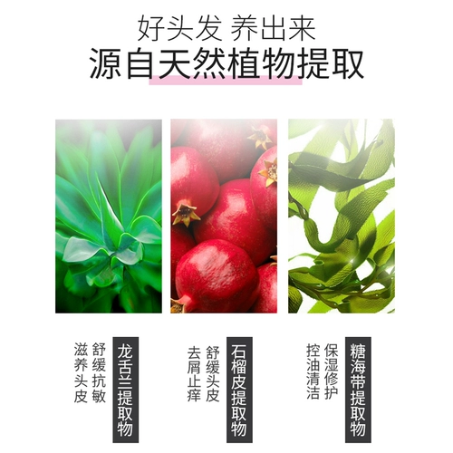 Шампунь подходит для мужчин и женщин, освежающий крем для волос, удаление перхоти, контроль жирного блеска, уход за волосами