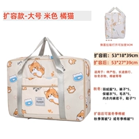 Симпатичная апельсиновая кошка [высококачественное расширение размеров]