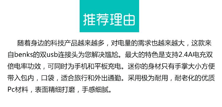 chargeur BENKS - Ref 1301746 Image 6