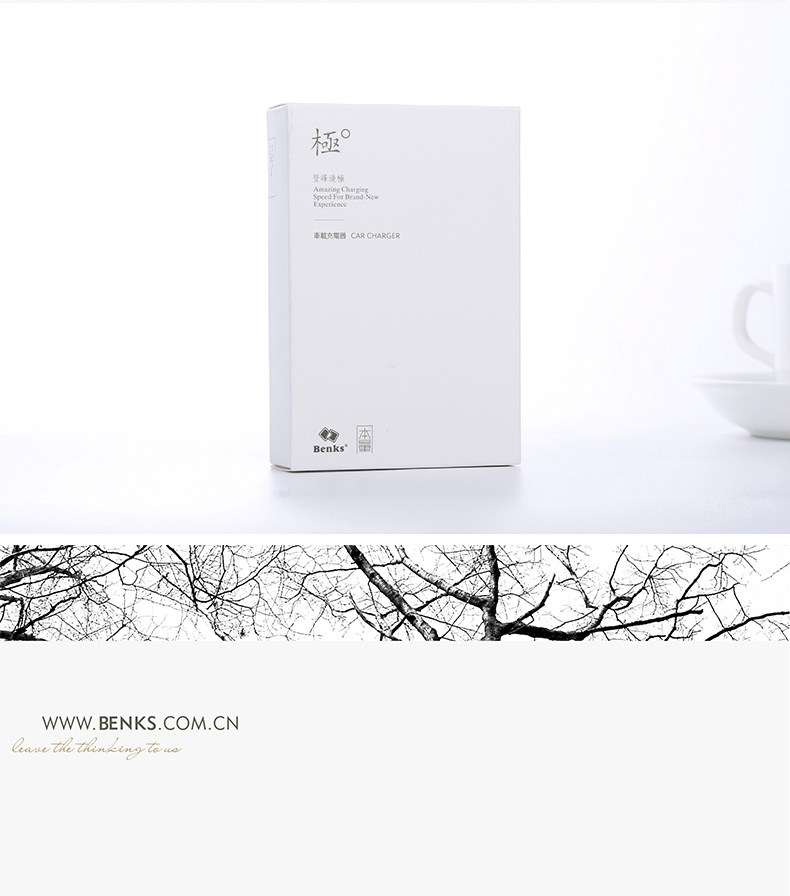 chargeur BENKS 3A - Ref 1301751 Image 17