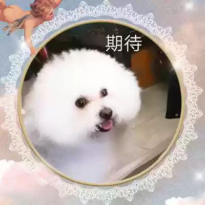 Universal one yuan shot ~ please don't take it at will