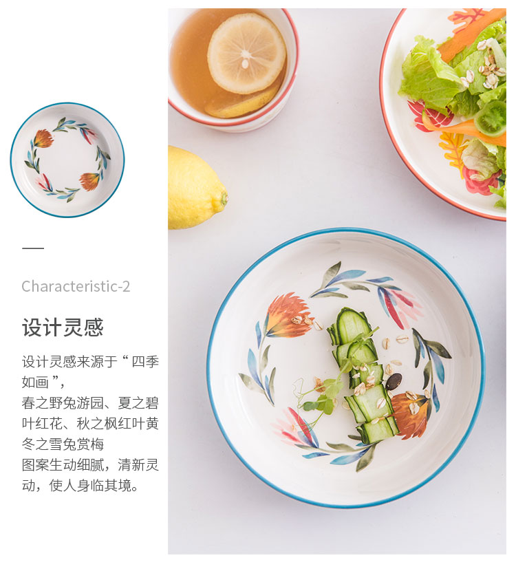 Nordic four seasons wind under glaze color porcelain tableware household dish dish dish soup bowl bowl rainbow such as bowl of fruit salad bowl