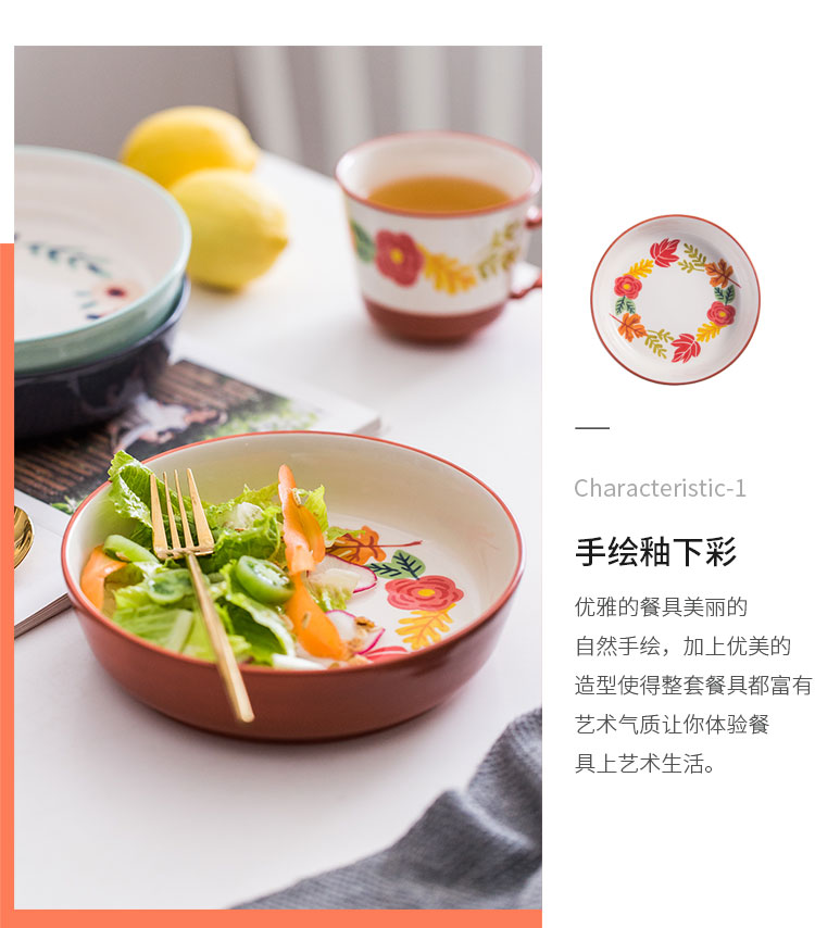 Nordic four seasons wind under glaze color porcelain tableware household dish dish dish soup bowl bowl rainbow such as bowl of fruit salad bowl