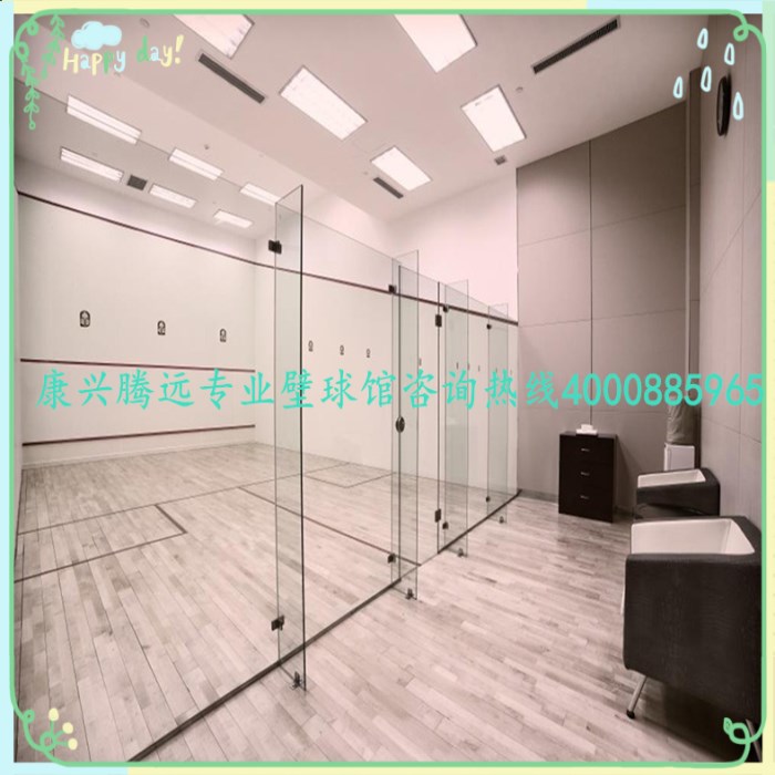 Indoor special squash racket protective net professional construction wall polo gallery for sale of wall polo gallery complete equipment