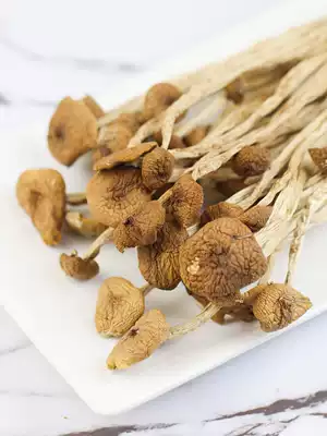 Pick up the reputation of tea tree mushroom dry goods fresh do not open umbrellas, cut foot Gutian tea wage mushroom farm home non-fumigatus mushroom specialty 250g