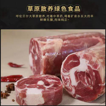 Authentic Inner Mongolia Hulunbuir West Banner Lamb Rolls Pure Lamb Rolls SF Fresh Lamb Rolls