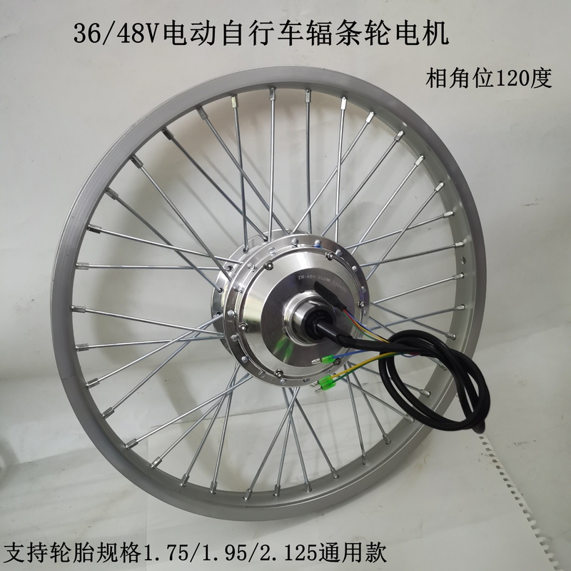20inch Lithium Electric Vehicle Assembly Wheel Set 36V48V250W350W Front and Rear Drive 22inch Dc Brushless Gear Motor