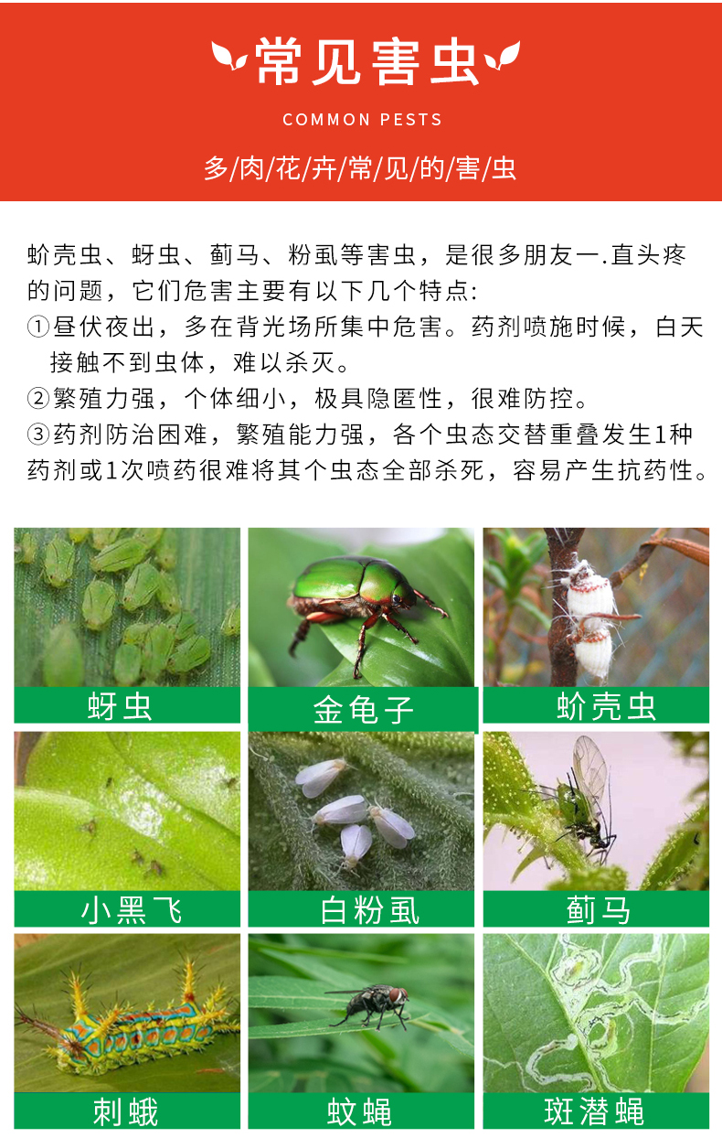 领沃 吡虫啉 杀虫药 50g 花卉植物通用 图3