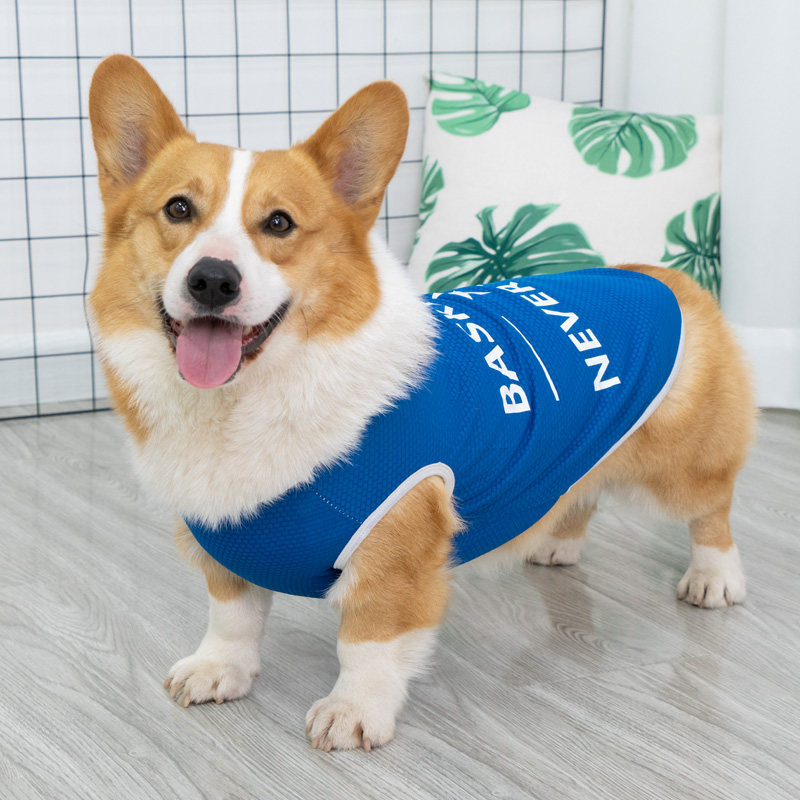 Net red pet dog clothes summer thin corgi small and medium-sized dog supplies anti-hair loss sunscreen clothing French bucket vest
