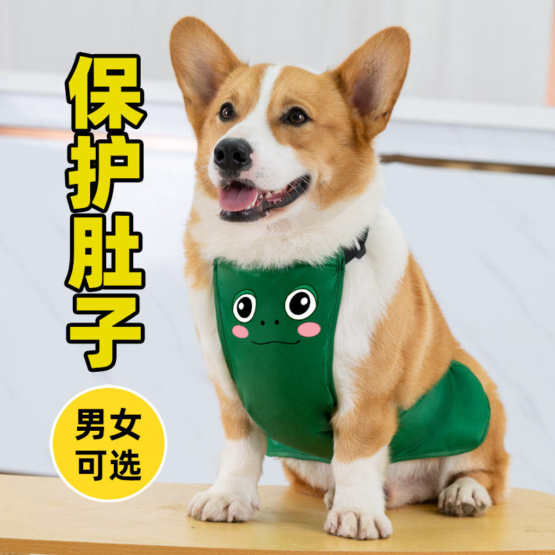 Dog clothes belly protector corgi summer thin pet small dog raincoat puppy supplies French fighting vest