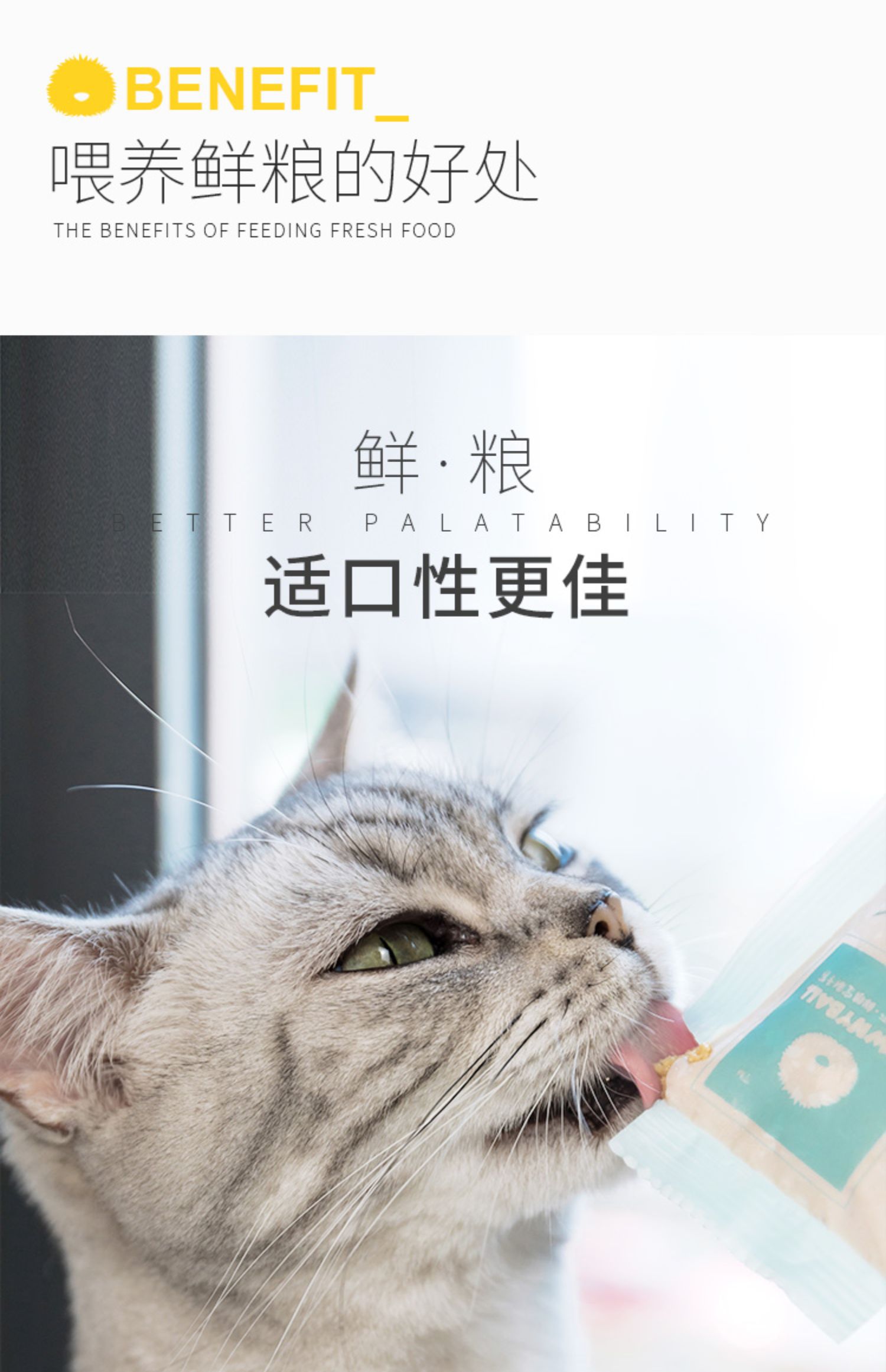 Hairball Hoàng gia Anh Downyball Cat Rice Làm đẹp tự chế Anh ngắn Thực phẩm tự nhiên ngắn Mèo Thực phẩm tươi Thực phẩm tươi Mèo lớn và vừa - Cat Staples thức ăn cho mèo royal canin