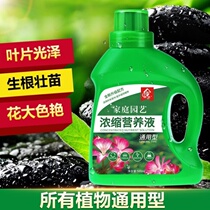 Plant nutrient solution flowers and plants potted fleshy water culture trees universal green plant indoor concentrated auxin