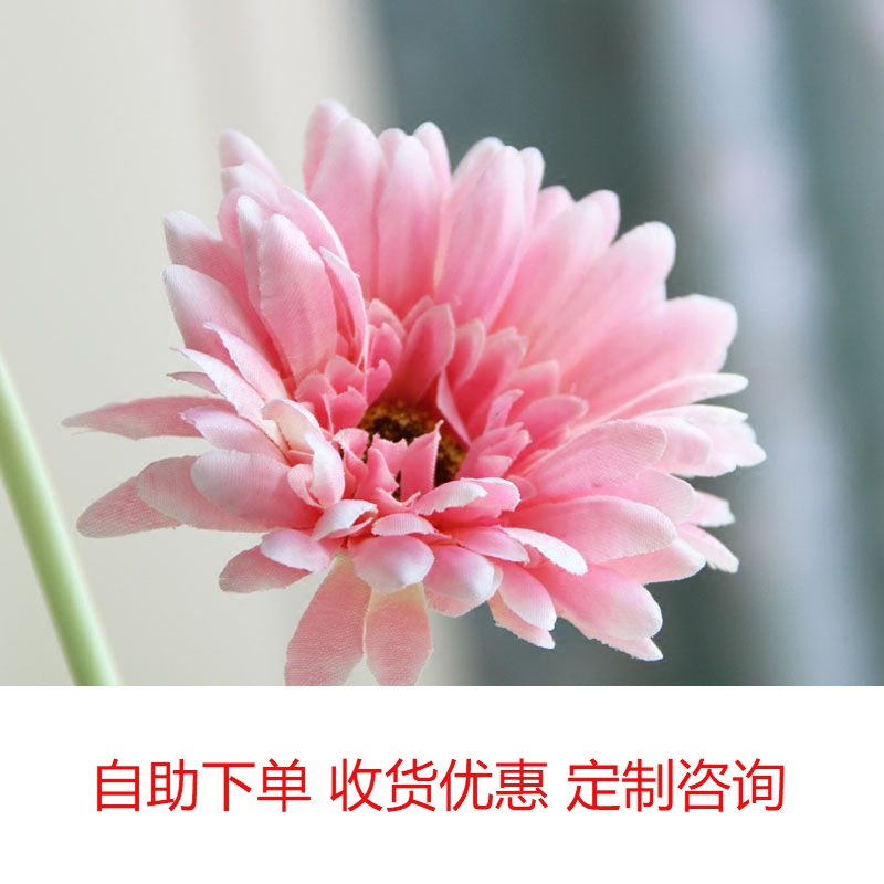 Modern simple fashion crystal glass vase home equipped with affordable durable African chrysanthemum simulation table small flower plug