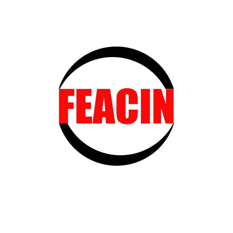 FEACIN蜚音数码潮品店的LOGO