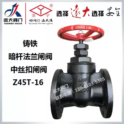 Yuanda valve Liaoyuan Z45T-16 cast iron manual dark rod copper core protective flange gate valve DN25-DN200
