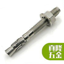 304 stainless steel car repair gecko heavy pull explosion expansion screw M6M8M10M12M16 promote 316 rock climbing explosion