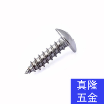 304 stainless steel cross groove large flat head self-tapping screw mushroom head umbrella TA tip screw M3M3 5M4M4 2