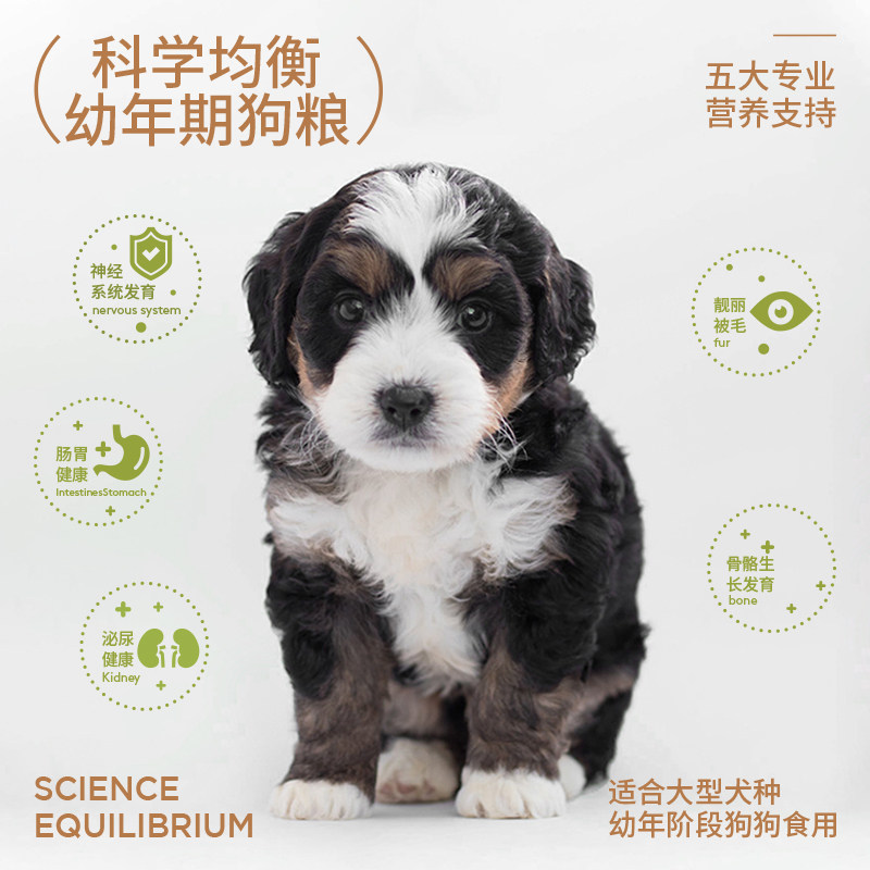 奥丁狗粮大型犬幼犬粮:金毛、边牧、拉布拉多专用,大包装正品保障,狗狗健康成长的秘密武器!-狗全价膨化粮-淘宝好物网