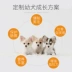 Thức ăn cho chó Odin chó con Teddy VIP hơn Xiong Bomei Yorkshire thức ăn cho chó 1,5kg - Chó Staples thuc an cho chó Chó Staples