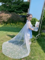 Синхен айша Чонсам (пятно)