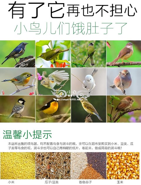 Trung tâm nuôi chim ngoài trời Công viên Villa Garden Wild Bird Cung cấp Cộng đồng Sân thượng chim - Chim & Chăm sóc chim Supplies lồng hoạ mi