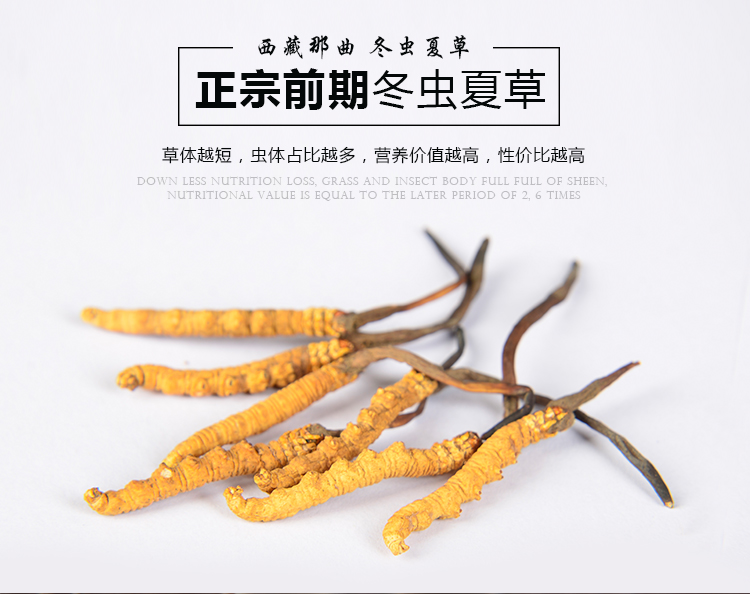 那曲 冬虫夏草礼盒装 2根/克 图2